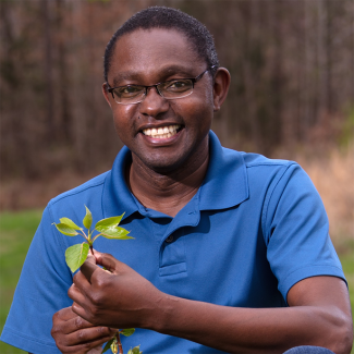 A photo of Wellington Muchero holding poplar leaves