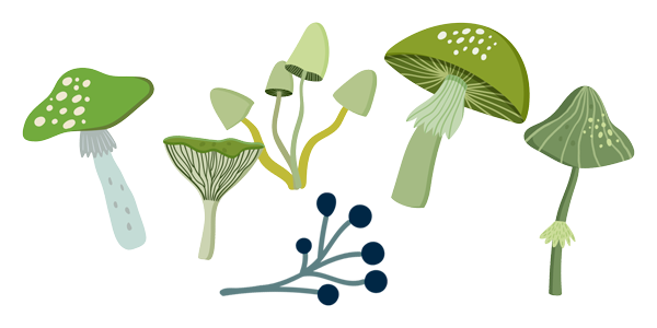 Mushroom Group