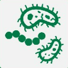 Microbes Icon Aspect Ratio 1 1