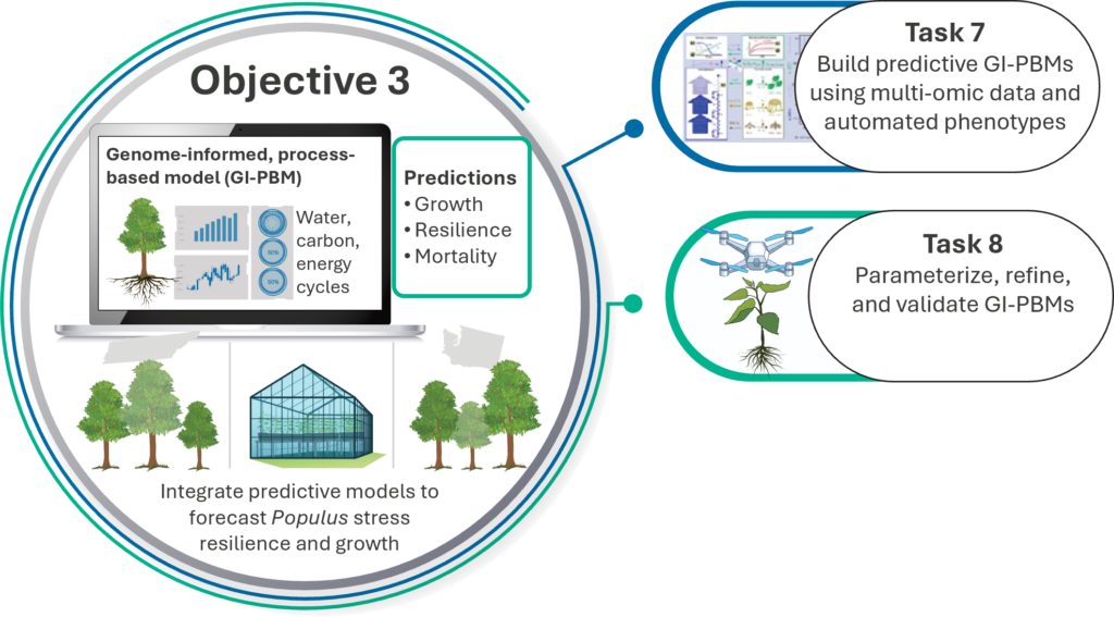 Objective 3
